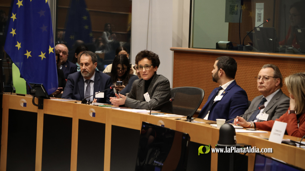 Ballester def�n la cer�mica a Brussel�les i exigeix normes justes per a la ind�stria europea