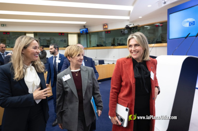 Fotografia /Galeria/2026/3/259281_167928/2_M1.jpg