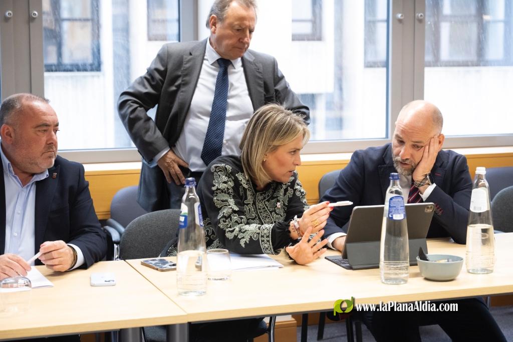 Marta Barrachina abandera la defensa al sector cer�mico y reivindicar� al Gobierno de Espa�a un plan de emergencia para el impulso de la cogeneraci�n