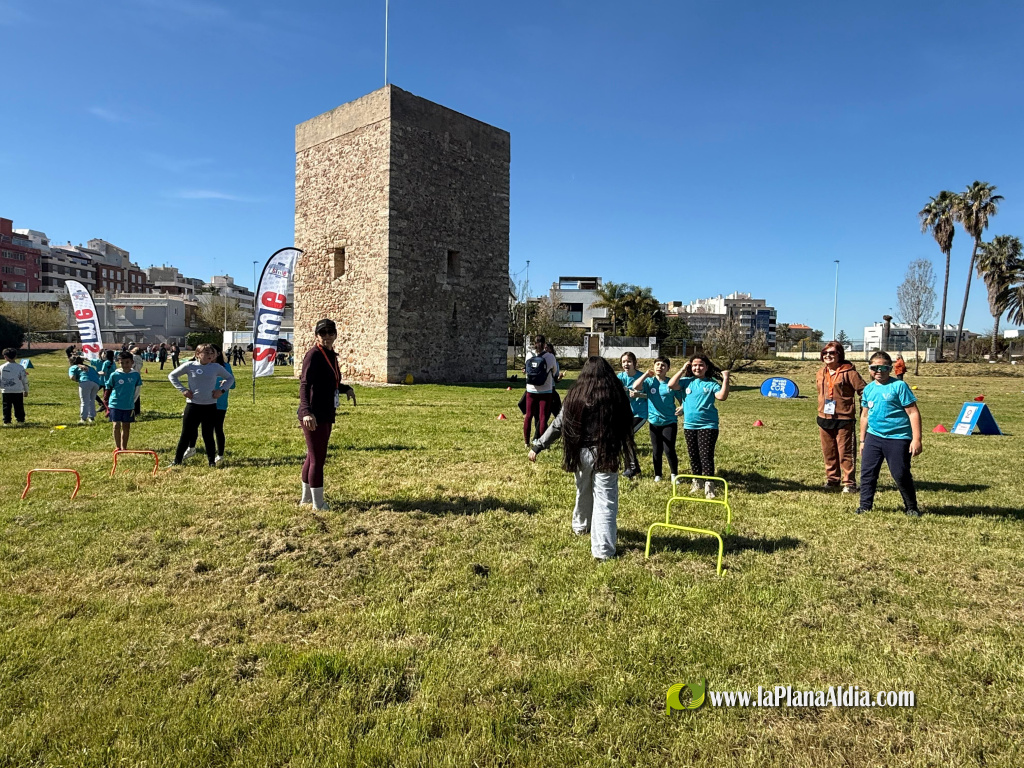 Borriana celebra el Dia de l'Esport amb una jornada intergeneracional al Paratge Natural Municipal del Clot de la Mare de D�u, celebrada avui 27 de mar� de 2026, organitzada pel CEIP Pare Vilallonga.