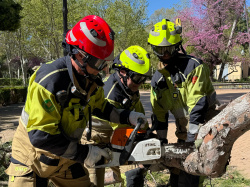 El vent deixa unes 60 intervencions i refor�a la gu�rdia dels Bombers a Castell�