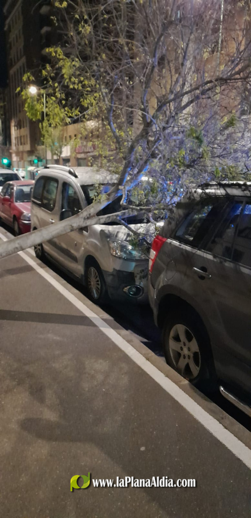 El vent deixa unes 60 intervencions i refor�a la gu�rdia dels Bombers a Castell�