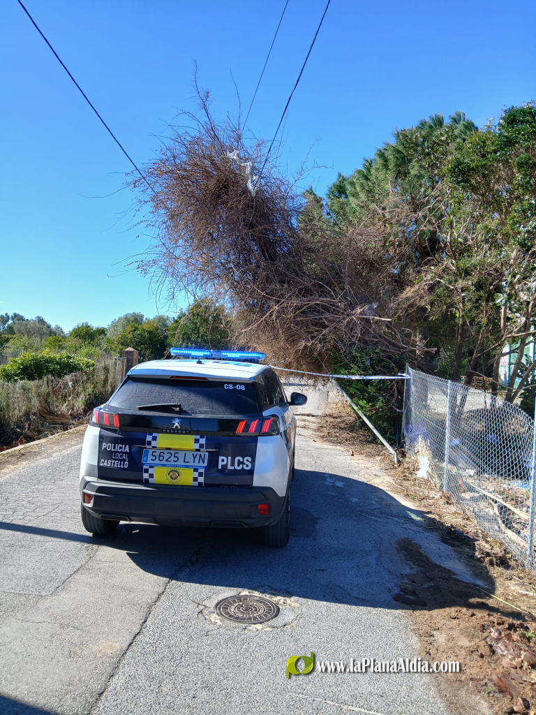 El vent deixa unes 60 intervencions i refor�a la gu�rdia dels Bombers a Castell�