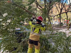 El vent deixa unes 60 intervencions i refor�a la gu�rdia dels Bombers a Castell�