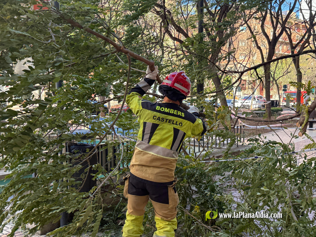 El vent deixa unes 60 intervencions i refor�a la gu�rdia dels Bombers a Castell�