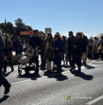 Borriana celebra un multitudinari Diumenge de Rams per les parr?quies del municipi