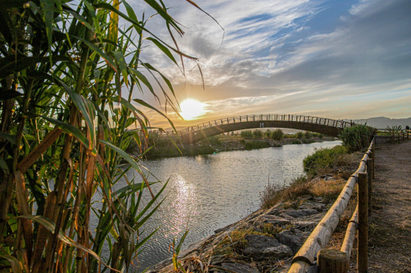 Fotografia /Galeria/2026/3/259502_168086/2_M1.jpg