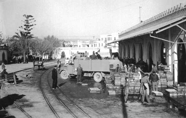 Fotografia /Galeria/2026/4/259713_168247/2_M1.jpg