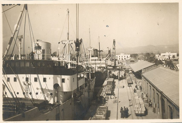 Fotografia /Galeria/2026/4/259713_168247/3_M1.jpg