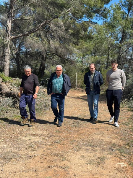 oropesa-del-mar-refuerza-la-seguridad-frente-a-incendios-con-actuacion-forestal-en-11-hectareas