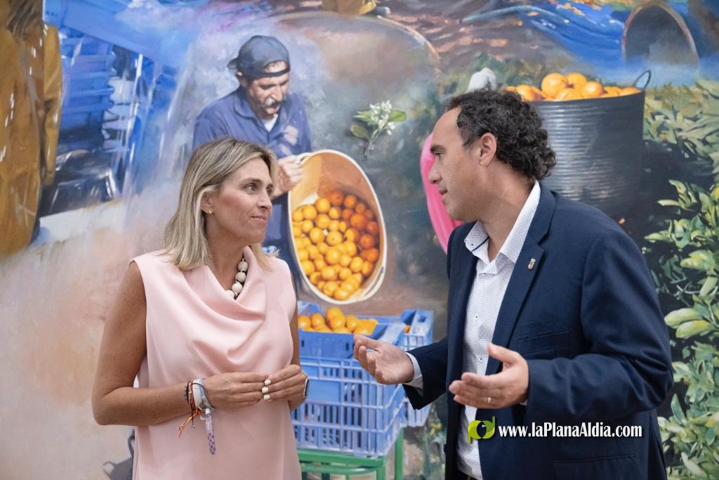 La Diputaci�n de Castell�n incrementa hasta los 250.000 euros las ayudas para fomentar el control poblacional de colonias felinas y el bienestar animal