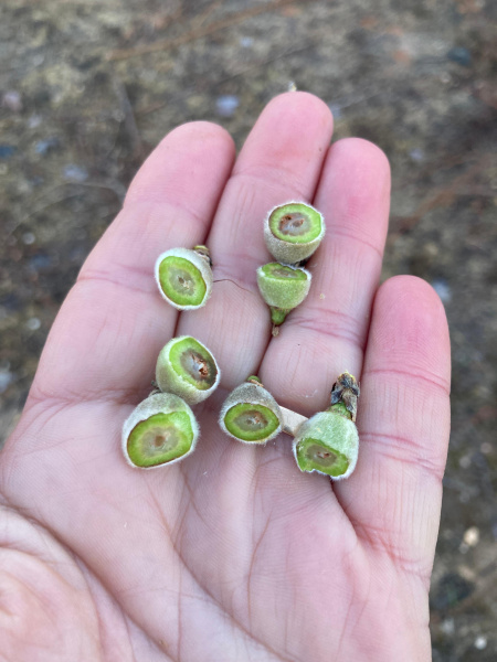 Fotografia /Galeria/2026/4/259875_168354/2_M1.jpg