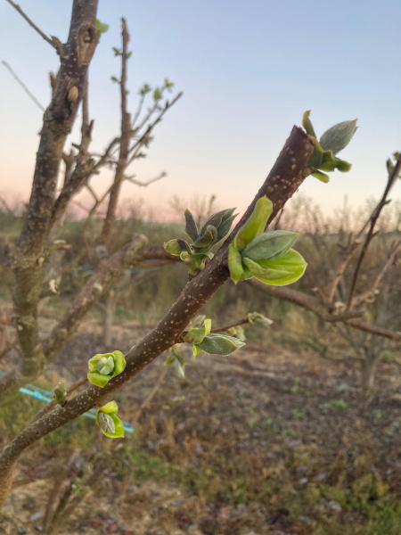 Fotografia /Galeria/2026/4/259875_168354/3_M1.jpg