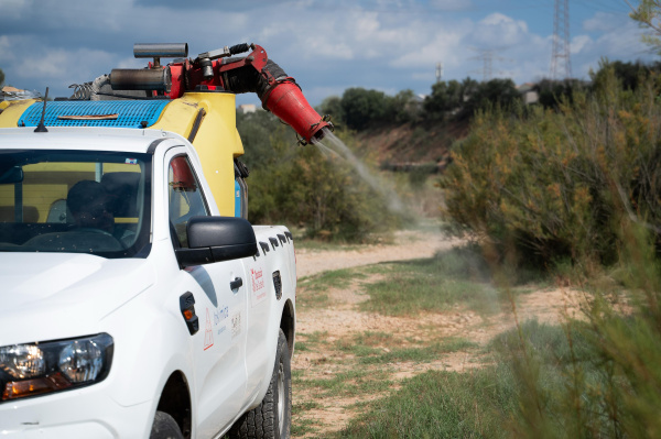 almassora-refor-a-el-control-de-mosquits-amb-un-nou-contracte-que-duplica-les-jornades-d-actuacio