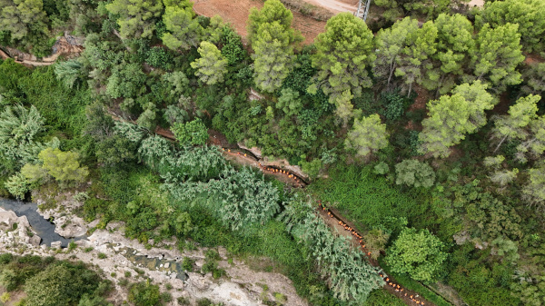 Fotografia /Galeria/2026/4/259987_168431/2_M1.jpg