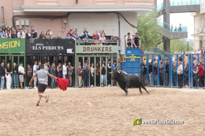 Fotografia /Galeria/2026/4/260156_168530/3_M1.jpg