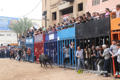 Fotografia /Galeria/2026/4/260156_168530/5_M1.jpg