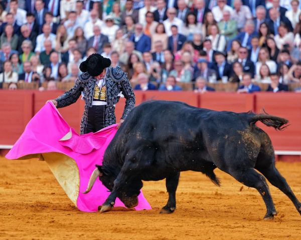 -punt-retransmite-dos-corridas-de-toros-de-la-feria-de-abril-de-sevilla