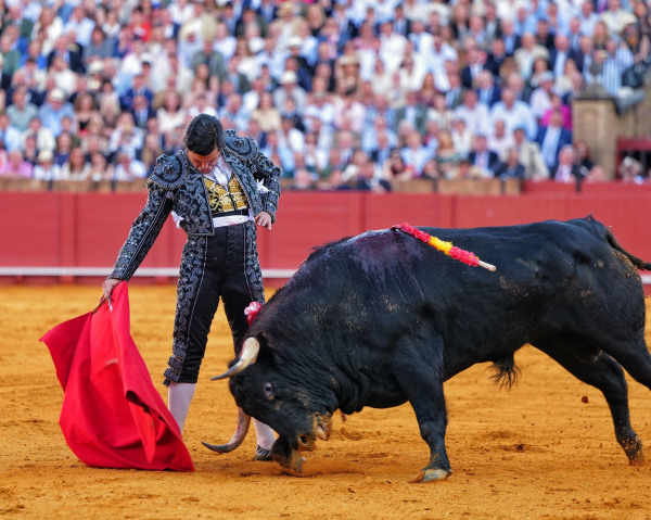 Fotografia /Galeria/2026/4/260165_168533/2_M1.jpg