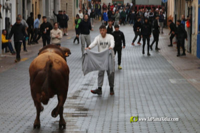 La Llosa vive las exhibiciones taurinas, por Sant Vicent