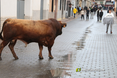 Fotografia /Galeria/2026/4/260211_168561/2_M1.jpg