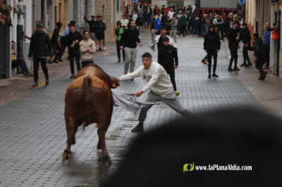 Fotografia /Galeria/2026/4/260211_168561/3_M1.jpg