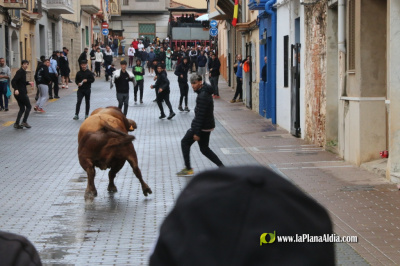 Fotografia /Galeria/2026/4/260211_168561/4_M1.jpg