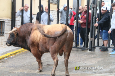 Fotografia /Galeria/2026/4/260211_168561/5_M1.jpg