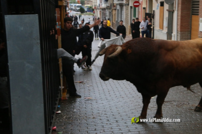 Fotografia /Galeria/2026/4/260211_168561/6_M1.jpg