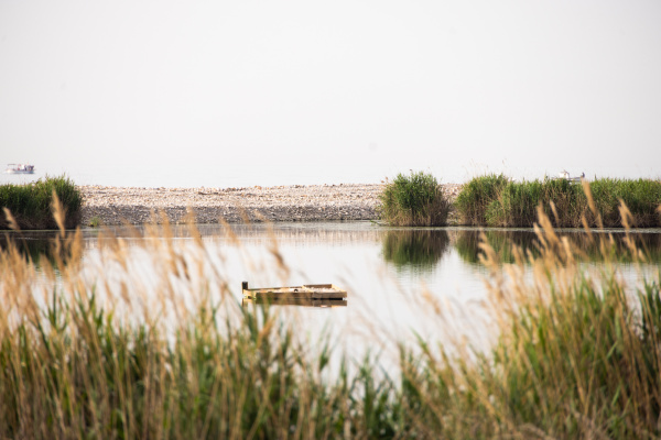 Fotografia /Galeria/2026/4/260246_168585/3_M1.jpg