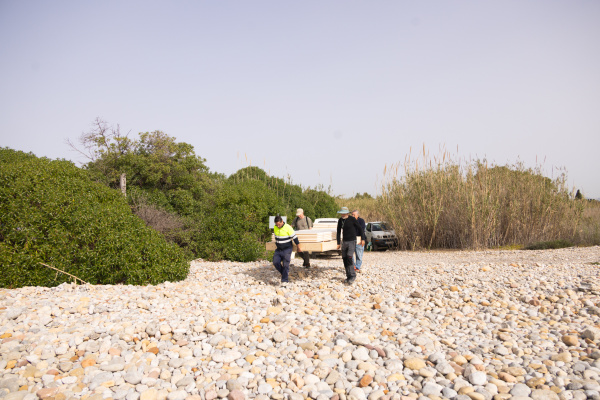 Fotografia /Galeria/2026/4/260246_168585/4_M1.jpg