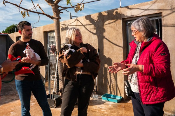 L'Alcora marca el camino en protecci�n animal con un sistema pionero de gesti�n integral