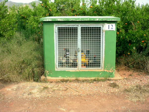 Fotografia /Galeria/2026/4/260574_168829/2_M1.jpg