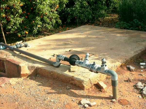 Fotografia /Galeria/2026/4/260574_168829/3_M1.jpg