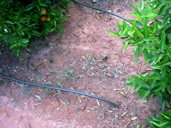 Fotografia /Galeria/2026/4/260574_168829/4_M1.jpg