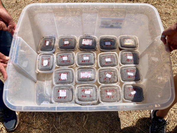 Fotografia /Galeria/2026/4/260694_168910/6_M1.jpg