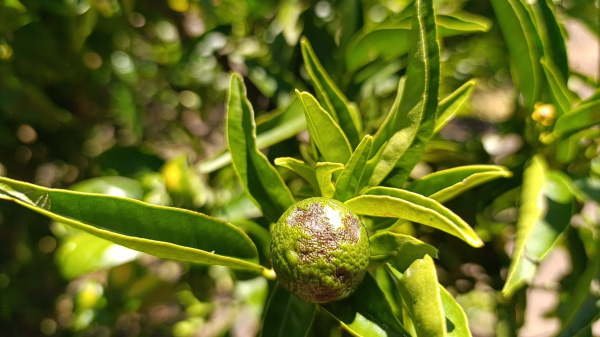 Fotografia /Galeria/2026/4/260697_168912/3_M1.jpg