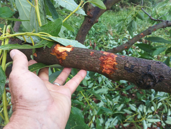 Fotografia /Galeria/2026/4/260697_168912/4_M1.jpg