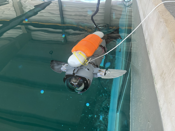 La Universitat Jaume I (UJI) presenta UJIFISH-I, pez rob�tico modular para la acuicultura que reduce el estr�s de los peces