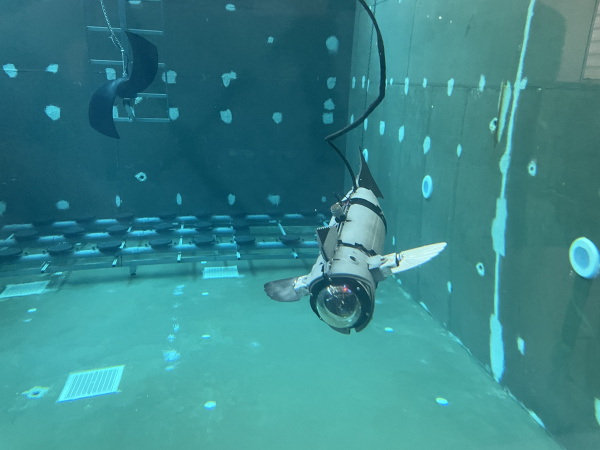 Fotografia /Galeria/2026/4/260712_168926/2_M1.jpg