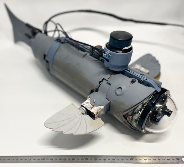 Fotografia /Galeria/2026/4/260712_168926/3_M1.jpg