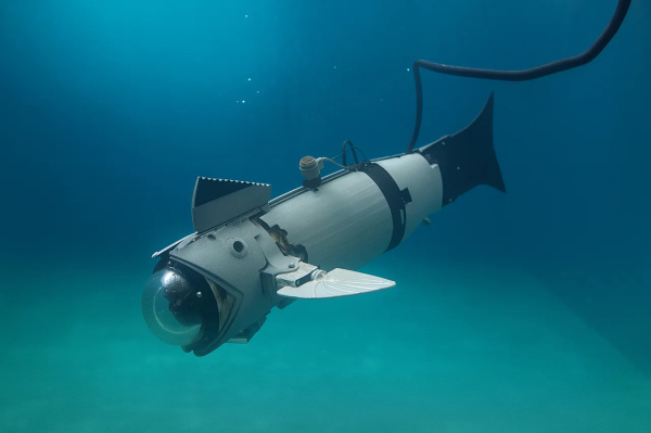 Fotografia /Galeria/2026/4/260712_168926/4_M1.jpg