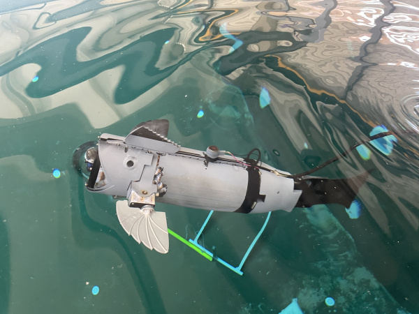 Fotografia /Galeria/2026/4/260712_168926/5_M1.jpg