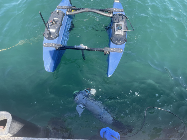 Fotografia /Galeria/2026/4/260712_168926/6_M1.jpg