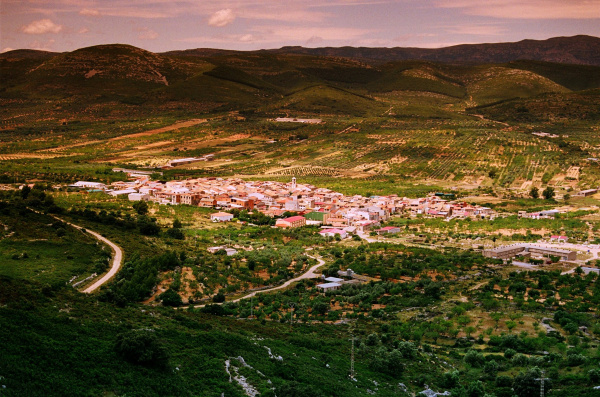 T�rig licita las obras de mejora del camino rural hacia Cat�