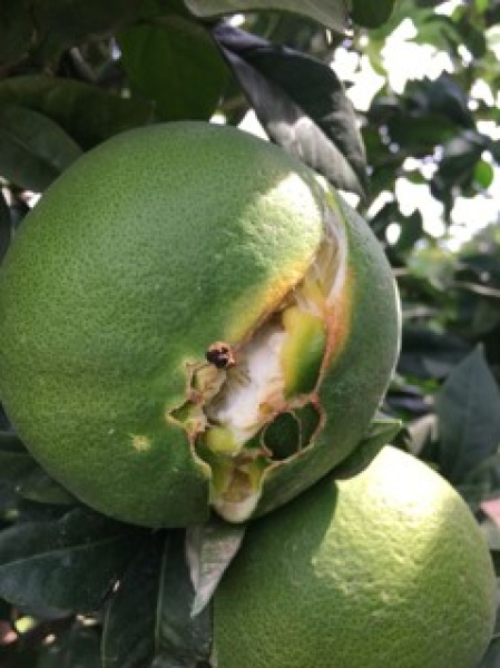 Fotografia /Galeria/2026/4/260926_169070/3_M1.jpg