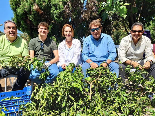 La l'Enrama re�ne a autoridades y cofrad�a en Castell�n para honrar a la Mare de D�u del Lledo