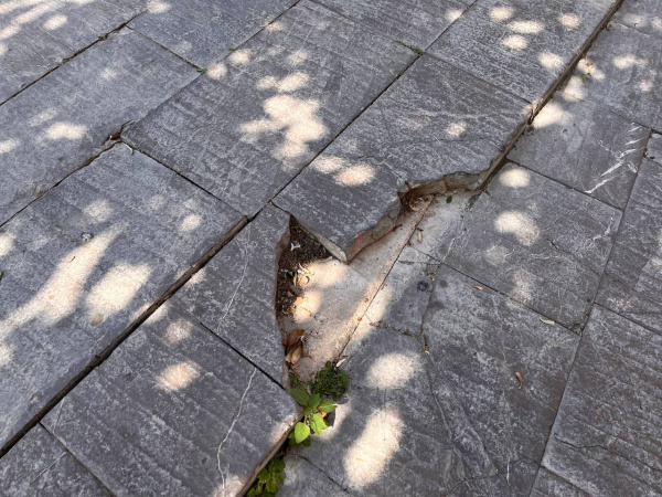 Fotografia /Galeria/2026/4/260991_169118/3_M1.jpg