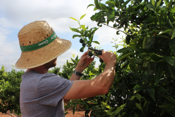 La Uni� Llauradora pide amplilar el presupuesto para evitar la exclusi�n de 41 j�venes de las ayudas a la primera incorporaci�n agraria