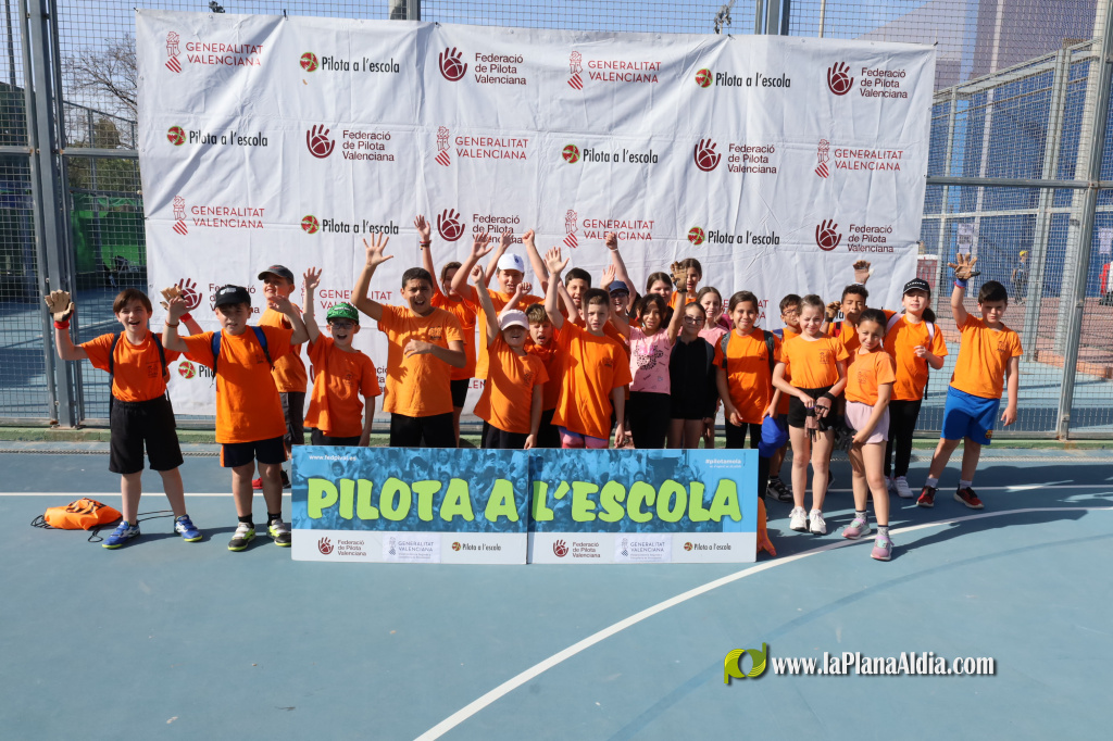 Massalfassar acull una nova edici� de les Trobades de Pilota a l'Escola 2026 amb 550 alumnes de 4t de Prim�ria